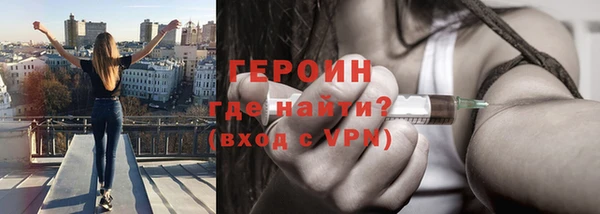 прущие грибы Инта