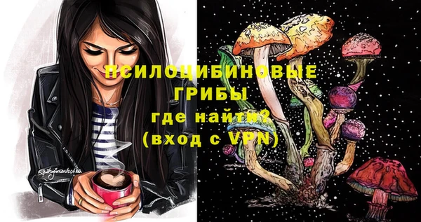 прущие грибы Инсар