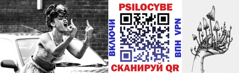 купить наркоту  Судогда  Псилоцибиновые грибы Cubensis 