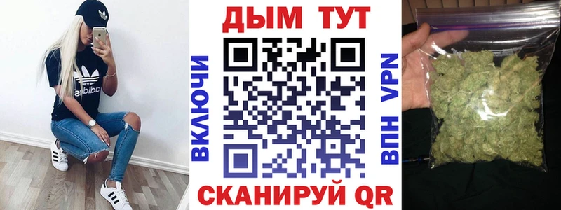 Каннабис LSD WEED  наркошоп  сайты даркнета какой сайт  Судогда 